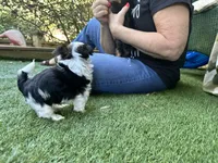 processed/bf515d0a-aa16-462b-8105-ab85ab87332e/listing/b99b122d-3523-4909-9180-836f9b54f4ad/c0393272-2bd4-41c1-90a1-05bea3f97d10