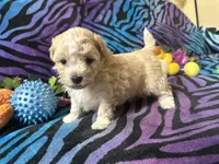 processed/bf515d0a-aa16-462b-8105-ab85ab87332e/listing/e463072d-a943-4d6f-9bda-010d0685c010/b5a462ae-0534-4d19-9c58-32ada12d13ab