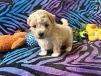 processed/bf515d0a-aa16-462b-8105-ab85ab87332e/listing/e463072d-a943-4d6f-9bda-010d0685c010/e7808e8e-cac8-4f90-befd-163a43c70514