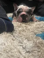 processed/bf54a11e-9fb3-4e4e-b484-c3757ca3fda5/listing/04a0fa6a-9c1e-43a8-9989-de9c374985dd/36c5c1a6-82de-498f-9f50-132aa2b272f5