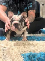 processed/bf54a11e-9fb3-4e4e-b484-c3757ca3fda5/listing/04a0fa6a-9c1e-43a8-9989-de9c374985dd/3c9d5a46-ddc4-4ff6-b4aa-2a9e9c583919