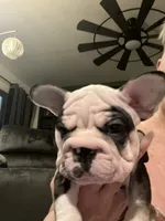 processed/bf54a11e-9fb3-4e4e-b484-c3757ca3fda5/listing/04a0fa6a-9c1e-43a8-9989-de9c374985dd/50337522-4f02-4fd7-99f8-1b3ef2721f10