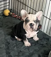 processed/bf54a11e-9fb3-4e4e-b484-c3757ca3fda5/listing/04a0fa6a-9c1e-43a8-9989-de9c374985dd/6027e84d-0897-493e-818b-78f1479e8979