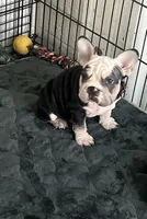 processed/bf54a11e-9fb3-4e4e-b484-c3757ca3fda5/listing/04a0fa6a-9c1e-43a8-9989-de9c374985dd/89f8443c-93d0-41ee-9642-5ff7a7efaa93