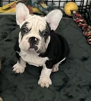 processed/bf54a11e-9fb3-4e4e-b484-c3757ca3fda5/listing/04a0fa6a-9c1e-43a8-9989-de9c374985dd/8c003cd4-a2ec-4049-9e55-2b17ccc32c60