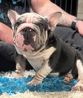 processed/bf54a11e-9fb3-4e4e-b484-c3757ca3fda5/listing/04a0fa6a-9c1e-43a8-9989-de9c374985dd/fee95765-fa93-4243-b961-5de22850ab36