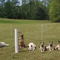 processed/bf574d85-0a7f-4ddd-aac4-a9d912726253/facility/21521d35-5ba4-43f4-9728-7325717755cc