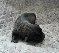 processed/bf5c9028-ee07-4f33-a1a4-088b921492a0/listing/1cc7c026-d2c2-45e4-899a-2acbef9fe480/24edac63-dd21-400f-8ec7-9335ab477fcb