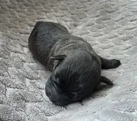 processed/bf5c9028-ee07-4f33-a1a4-088b921492a0/listing/1cc7c026-d2c2-45e4-899a-2acbef9fe480/2ada51cf-e1fc-4e01-a18f-a20534b21a8c