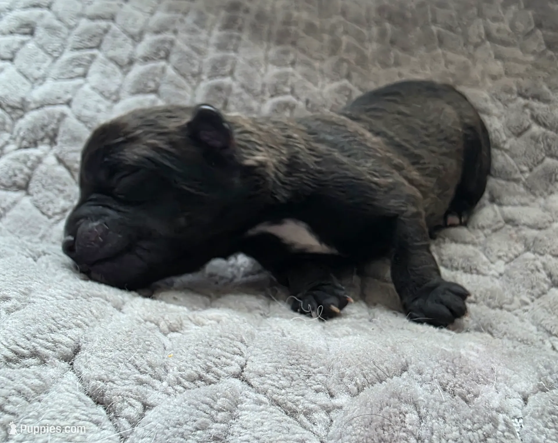 processed/bf5c9028-ee07-4f33-a1a4-088b921492a0/listing/1cc7c026-d2c2-45e4-899a-2acbef9fe480/3d07974c-5048-4cbb-a911-cf9574a52316