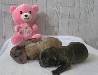 processed/bf5c9028-ee07-4f33-a1a4-088b921492a0/listing/1cc7c026-d2c2-45e4-899a-2acbef9fe480/ee0c3d72-e48e-4ef7-8123-12c812aaf65f