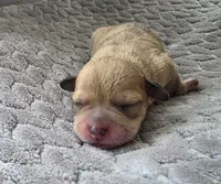 processed/bf5c9028-ee07-4f33-a1a4-088b921492a0/listing/315afb8b-5e05-4424-accc-ae9410989d2c/ea482390-e528-4ebc-ba52-63cc11aa406d