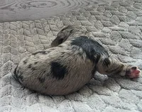 processed/bf5c9028-ee07-4f33-a1a4-088b921492a0/listing/59357e8d-e8be-45cc-975a-e14dc12141d0/0dd1bb9e-eb4b-43b7-a860-d0a96284fc8f