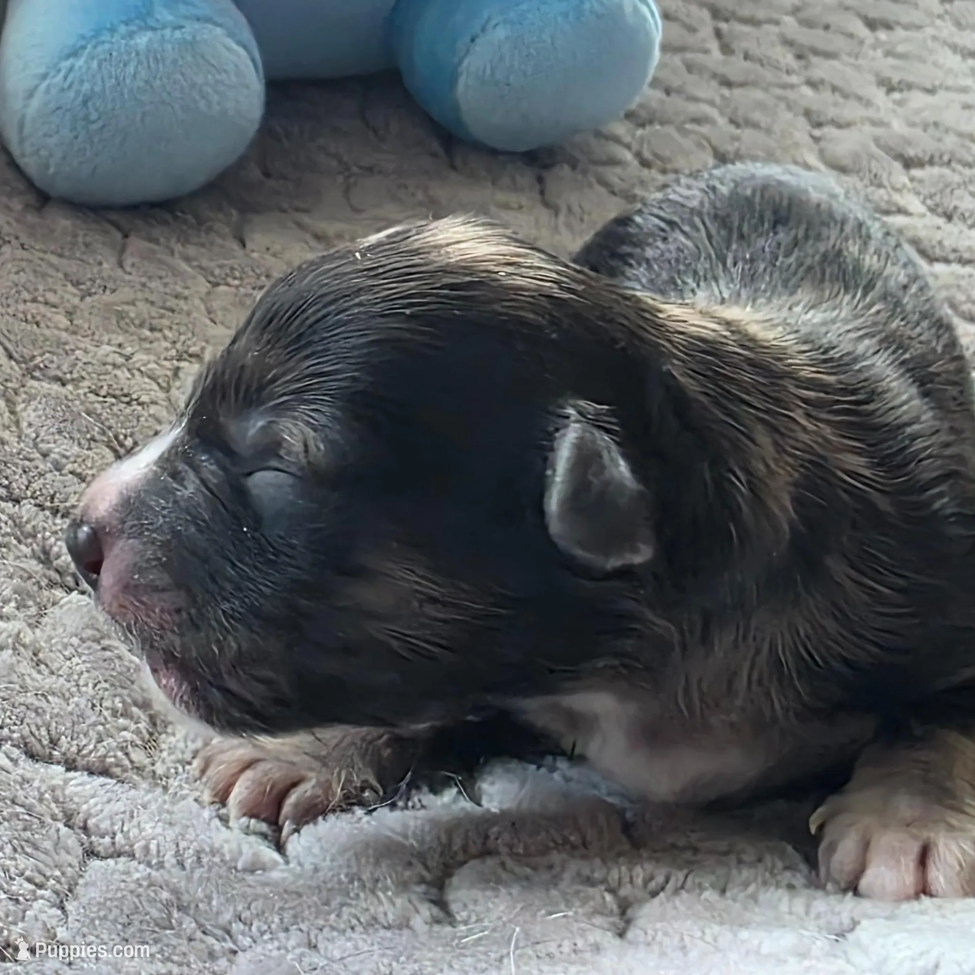 processed/bf5c9028-ee07-4f33-a1a4-088b921492a0/listing/61e0a87f-2877-4a3a-b8a7-b42651f03dde/9bca9f16-90c3-4353-95c5-e2b47b30e6cc