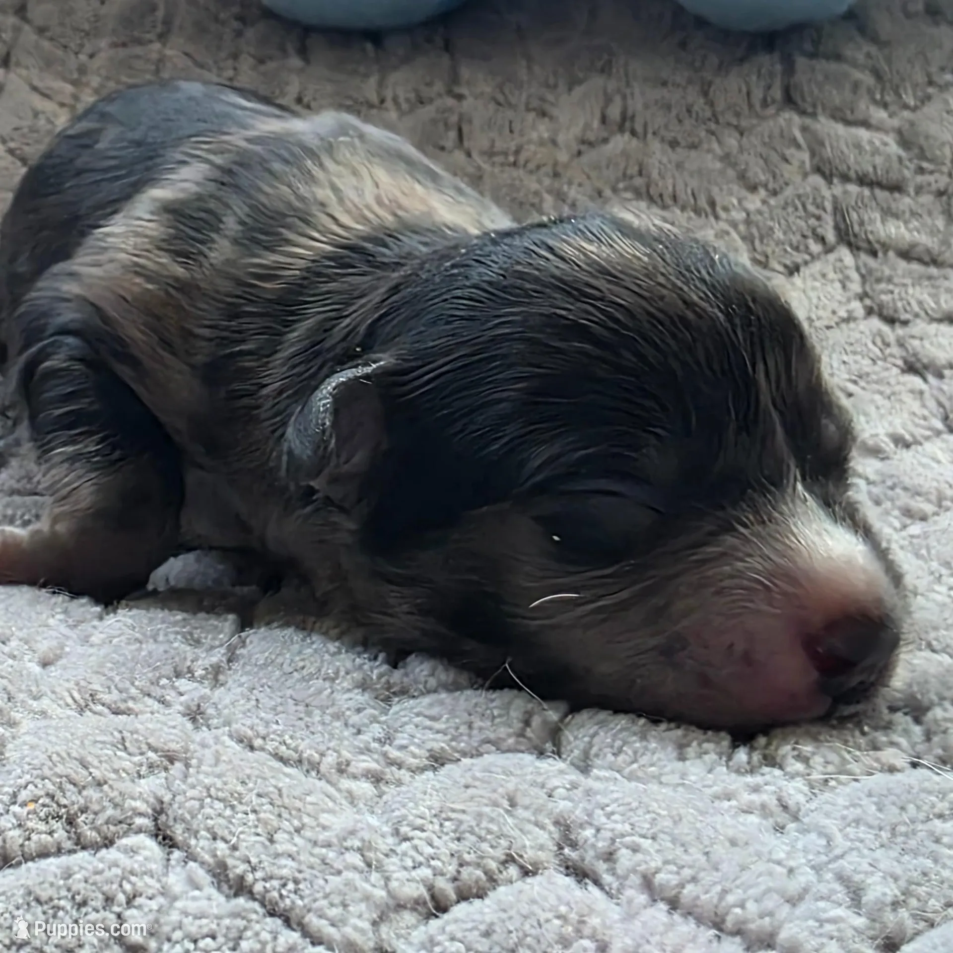 processed/bf5c9028-ee07-4f33-a1a4-088b921492a0/listing/61e0a87f-2877-4a3a-b8a7-b42651f03dde/ae20943a-23c8-4392-b8b4-89e5dcd1cc51