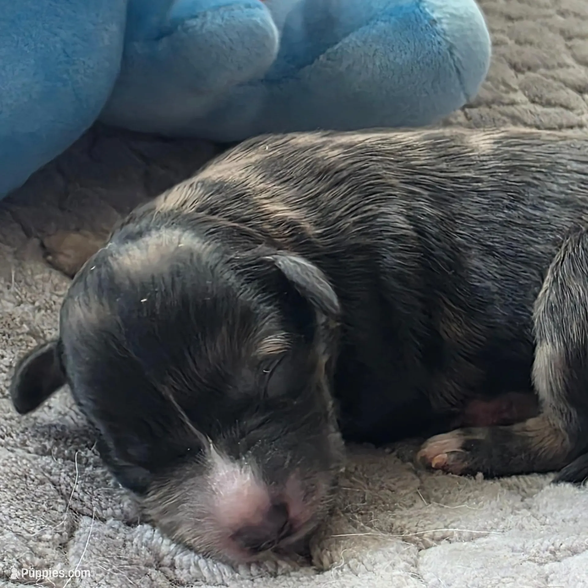 processed/bf5c9028-ee07-4f33-a1a4-088b921492a0/listing/61e0a87f-2877-4a3a-b8a7-b42651f03dde/e4600993-128f-493b-b246-3f035f1d57a4