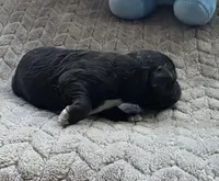 processed/bf5c9028-ee07-4f33-a1a4-088b921492a0/listing/963cad6d-abd5-4918-b59f-f328c4cceeab/6e78817e-d556-43b9-a650-d92b71a505f4