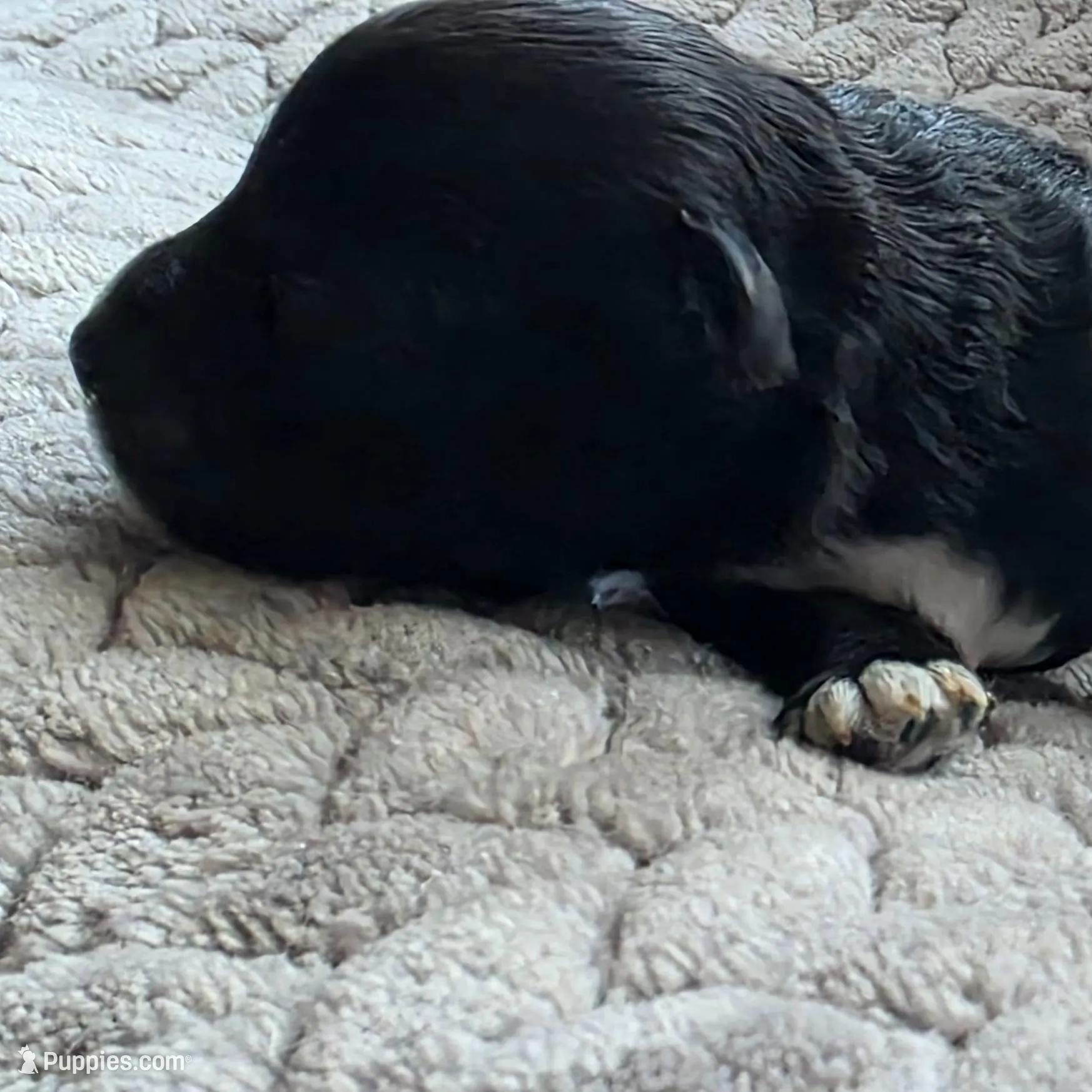 processed/bf5c9028-ee07-4f33-a1a4-088b921492a0/listing/963cad6d-abd5-4918-b59f-f328c4cceeab/967555b1-a1ff-4da0-9a94-2f77fb891211