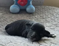 processed/bf5c9028-ee07-4f33-a1a4-088b921492a0/listing/963cad6d-abd5-4918-b59f-f328c4cceeab/ca835393-e6d2-44f5-abce-11f6fa3f1e61