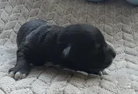 processed/bf5c9028-ee07-4f33-a1a4-088b921492a0/listing/963cad6d-abd5-4918-b59f-f328c4cceeab/cafc919b-f6d9-4d81-87ff-3132208f424f