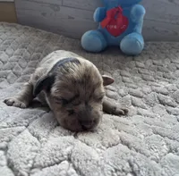 processed/bf5c9028-ee07-4f33-a1a4-088b921492a0/listing/b60f3cae-7ebf-4e55-a869-c6040f4fed2b/d8214ca9-4f5a-4f26-b63d-d24a9d3babd7