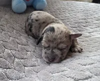 processed/bf5c9028-ee07-4f33-a1a4-088b921492a0/listing/b60f3cae-7ebf-4e55-a869-c6040f4fed2b/da47c1ee-9c06-4fdf-860c-565d99803f69