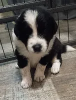 Facility photo