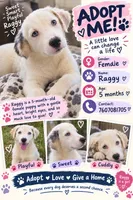 Raggy, a female Border Collie for sale in Julian, CA – 1 of 5