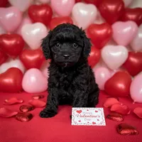 processed/bf718908-fa6f-49a9-88bb-5a66ce740c2d/listing/03e906e1-7181-4c1b-bf30-474673aaee4f/20d940ae-487e-400f-ac3d-26e740df20a1