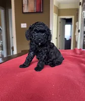 processed/bf718908-fa6f-49a9-88bb-5a66ce740c2d/listing/03e906e1-7181-4c1b-bf30-474673aaee4f/32ed5c39-ad7a-49e6-b857-74f71ea39d7f