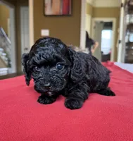 processed/bf718908-fa6f-49a9-88bb-5a66ce740c2d/listing/03e906e1-7181-4c1b-bf30-474673aaee4f/3f1b29c6-14e5-4dde-9ab5-1d93f5eba575