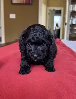 processed/bf718908-fa6f-49a9-88bb-5a66ce740c2d/listing/03e906e1-7181-4c1b-bf30-474673aaee4f/548e2586-b58a-45b2-9754-2d294cf867c2