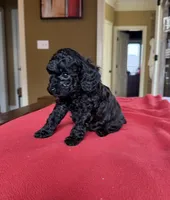 processed/bf718908-fa6f-49a9-88bb-5a66ce740c2d/listing/03e906e1-7181-4c1b-bf30-474673aaee4f/606ae74d-d7f2-49c0-8227-2da36d0eb81e