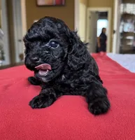 processed/bf718908-fa6f-49a9-88bb-5a66ce740c2d/listing/03e906e1-7181-4c1b-bf30-474673aaee4f/a352c718-de1d-466f-b7dc-166605be89c3