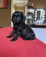 processed/bf718908-fa6f-49a9-88bb-5a66ce740c2d/listing/03e906e1-7181-4c1b-bf30-474673aaee4f/aa79515f-8b57-411b-b98e-0e00dab3582c