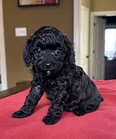 processed/bf718908-fa6f-49a9-88bb-5a66ce740c2d/listing/03e906e1-7181-4c1b-bf30-474673aaee4f/b4deb43e-c01f-45b6-8922-afb0c85ea928