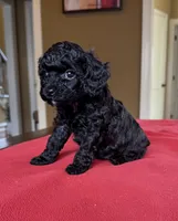 processed/bf718908-fa6f-49a9-88bb-5a66ce740c2d/listing/03e906e1-7181-4c1b-bf30-474673aaee4f/bcce5365-74ba-4fdf-b2c0-3e349465cbeb