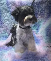 processed/bf718908-fa6f-49a9-88bb-5a66ce740c2d/listing/fe073184-d53e-4551-8195-2ab0e2a83dd5/1cd41fea-756c-4c06-9519-c2806c879551