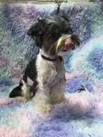 processed/bf718908-fa6f-49a9-88bb-5a66ce740c2d/listing/fe073184-d53e-4551-8195-2ab0e2a83dd5/24c32380-d43b-4ddb-9e54-5b0639af7233