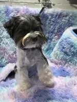 processed/bf718908-fa6f-49a9-88bb-5a66ce740c2d/listing/fe073184-d53e-4551-8195-2ab0e2a83dd5/50386087-7ad4-4c93-9b37-da40836fcdd3