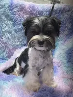 processed/bf718908-fa6f-49a9-88bb-5a66ce740c2d/listing/fe073184-d53e-4551-8195-2ab0e2a83dd5/669318c3-25b5-4a09-86ec-b74e61f4bc40