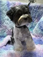 processed/bf718908-fa6f-49a9-88bb-5a66ce740c2d/listing/fe073184-d53e-4551-8195-2ab0e2a83dd5/6c9376cb-0ee9-47cd-86b2-189ae5ec5d6c