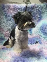 processed/bf718908-fa6f-49a9-88bb-5a66ce740c2d/listing/fe073184-d53e-4551-8195-2ab0e2a83dd5/758ac97b-0a35-4a09-9fa8-26f9627a7b6e