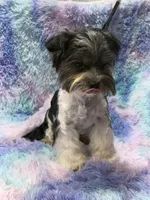 processed/bf718908-fa6f-49a9-88bb-5a66ce740c2d/listing/fe073184-d53e-4551-8195-2ab0e2a83dd5/e3e7dac2-4735-4934-bbc2-eaafd30237fd