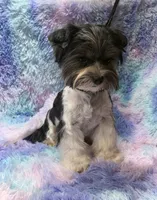 processed/bf718908-fa6f-49a9-88bb-5a66ce740c2d/listing/fe073184-d53e-4551-8195-2ab0e2a83dd5/f67fb3d3-9211-454f-872c-c1d25bff6be9