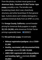 Snake, a male American Pit Bull Terrier for sale in Irvine, CA – 5 of 5