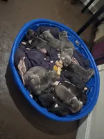 processed/bf90b40a-c5a2-47db-ad4a-d17c0ccbffcd/listing/01666528-4f99-45f3-83a9-b83f94881a1e/1f88132e-6e88-404b-acf5-3530b3c819a7