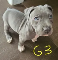 processed/bf90b40a-c5a2-47db-ad4a-d17c0ccbffcd/listing/01666528-4f99-45f3-83a9-b83f94881a1e/4067efea-7d09-4c02-b518-f38a79c6580d