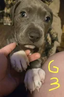 processed/bf90b40a-c5a2-47db-ad4a-d17c0ccbffcd/listing/01666528-4f99-45f3-83a9-b83f94881a1e/a66f8d63-57f7-488e-9c37-647edcfbcdb8