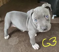 processed/bf90b40a-c5a2-47db-ad4a-d17c0ccbffcd/listing/01666528-4f99-45f3-83a9-b83f94881a1e/e78ebcc3-e8db-4c29-bb2d-94e9fff60101